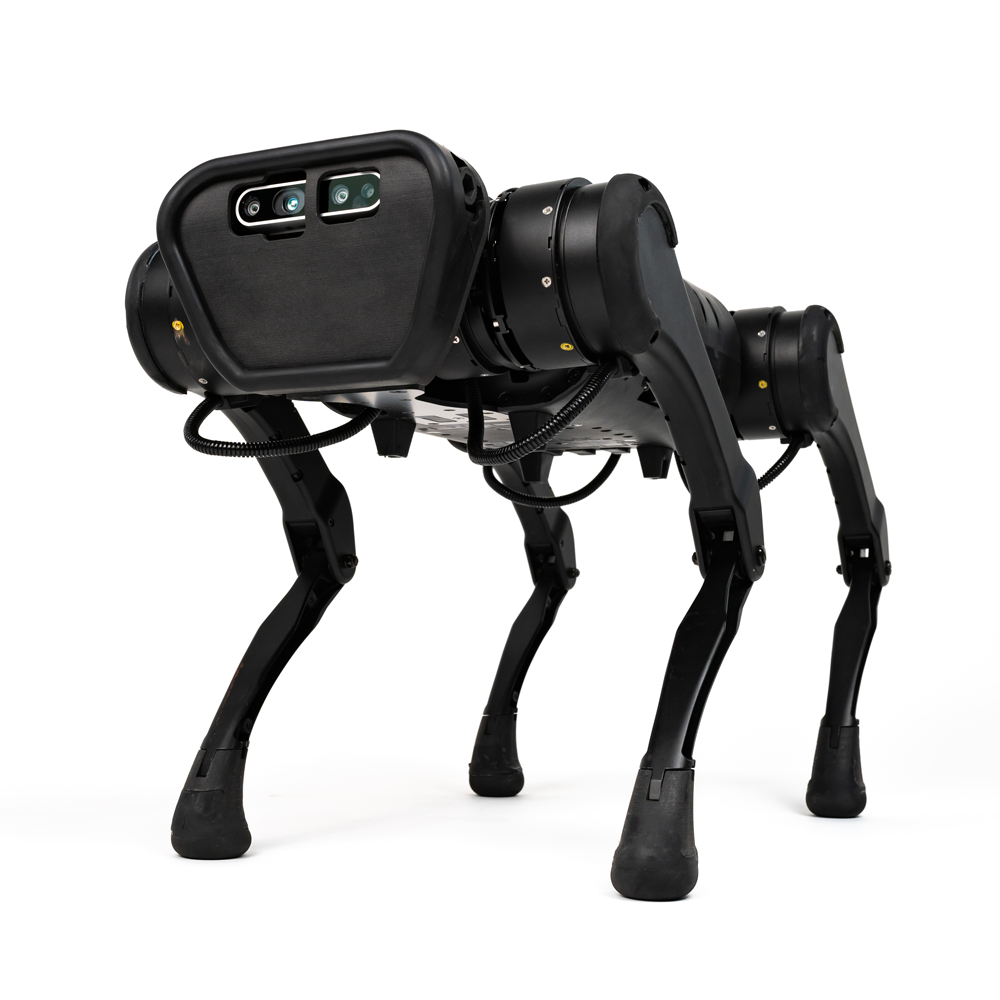 RoboDetection project
