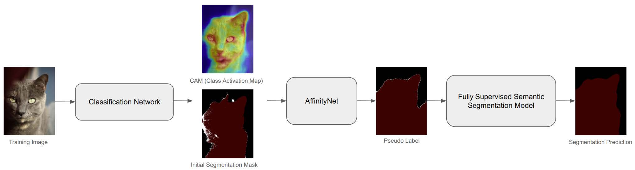 Weakly supervised semantic segmentation project